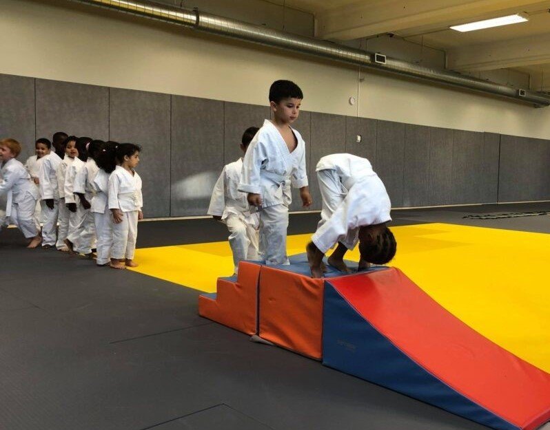 Baby's Judo
